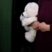 Ucraina, arcivescovo Kiev: “Deportati quasi 200mila bambini”
