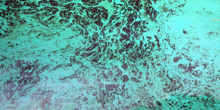 Mediterraneo, rischio catastrofe ambientale: naufraga nave carica di gasolio