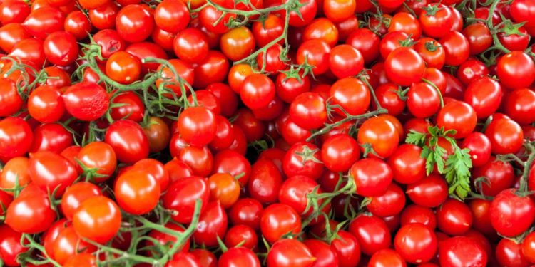 Agroalimentare: Ismea, Ue si conferma mercato più importante per prodotti italiani