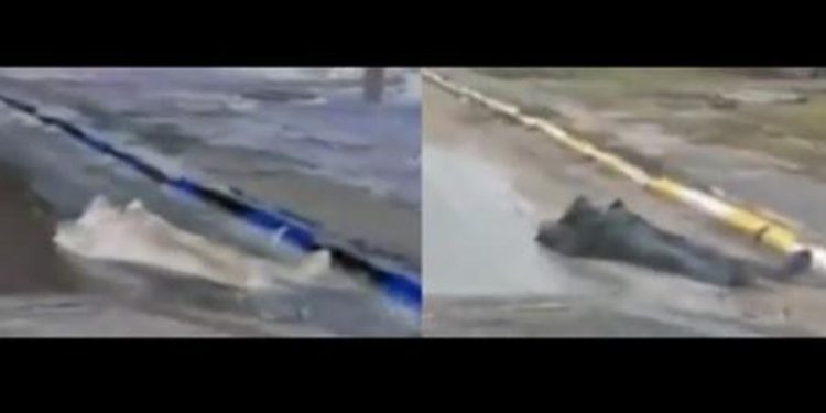 Bucha, ‘morto si muove’: analisi video smonta ipotesi fake