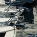Confindustria Nautica, visti dei marittimi stranieri imbarcati in Italia verso l’ok