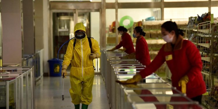 Covid Nordcorea, Bassetti: “Si rischia una catastrofe simile al 2020”