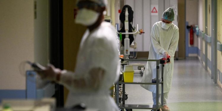 Vaiolo scimmie, in Francia vaccino a contatti a rischio