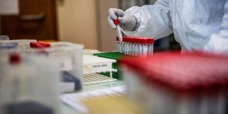 Rasi: “Omicron 4 e 5 pericolo reale, rischiamo autunno difficile”