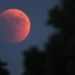 Luna rossa 2022, questa notte l’eclissi totale: orari e dove vederla