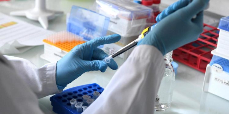 Vaiolo delle scimmie, primo caso sospetto in Francia