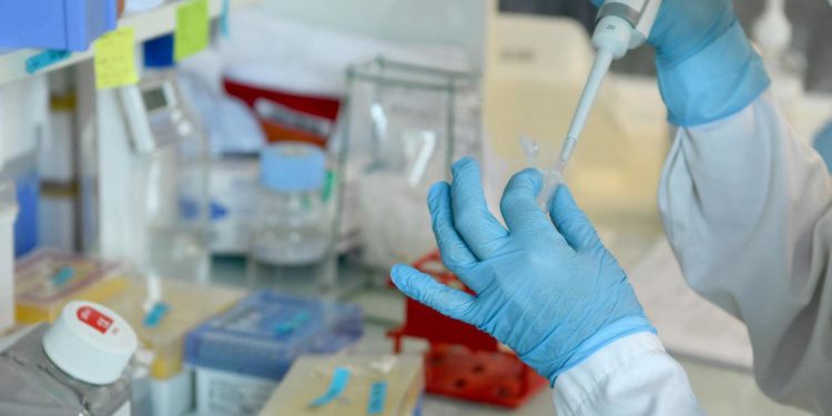 Vaiolo delle scimmie, primo caso in Toscana: 32enne ricoverato ad Arezzo