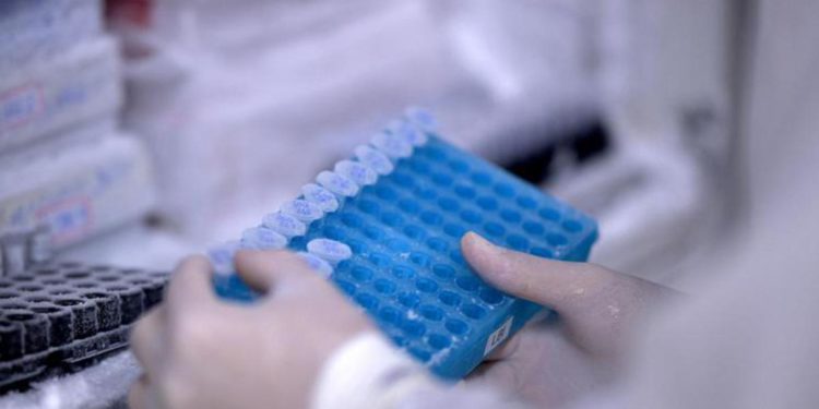 Vaiolo delle scimmie, “malattia meno grave di una varicella”