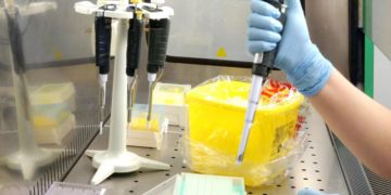 Vaiolo delle scimmie in Italia, sintomi e mortalità