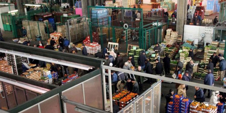 Ismea al Macfrut: investire su aggregazione, qualità e logistica nell’ortofrutta