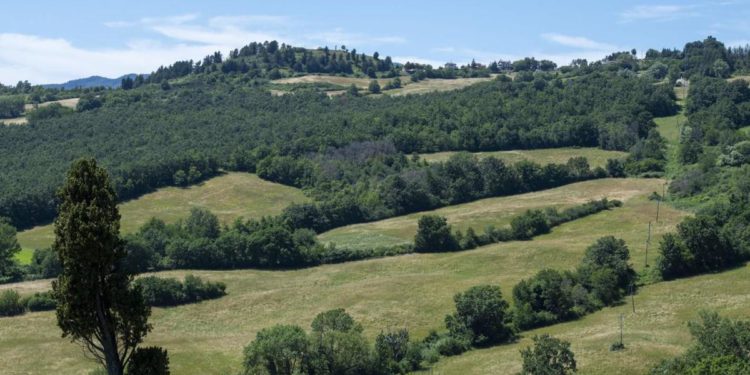 Sanpellegrino e biodiversità, nuove iniziative per insetti impollinatori