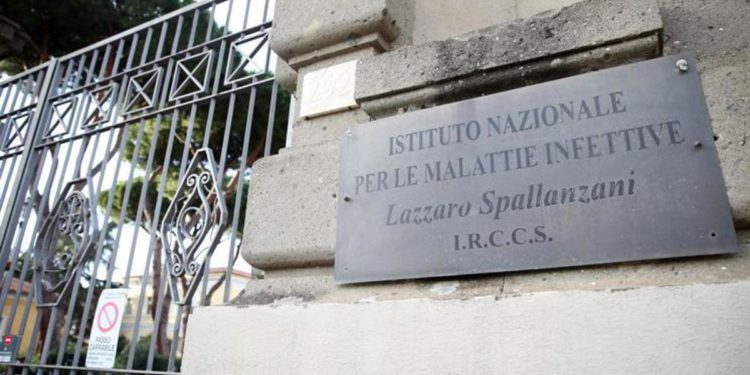 Vaiolo scimmie, salgono a 6 i casi allo Spallanzani