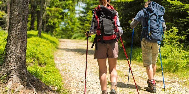 Coop, dg Ancc Russo : “A livello nazionale stiamo per lanciare camminate lungo Francigena”