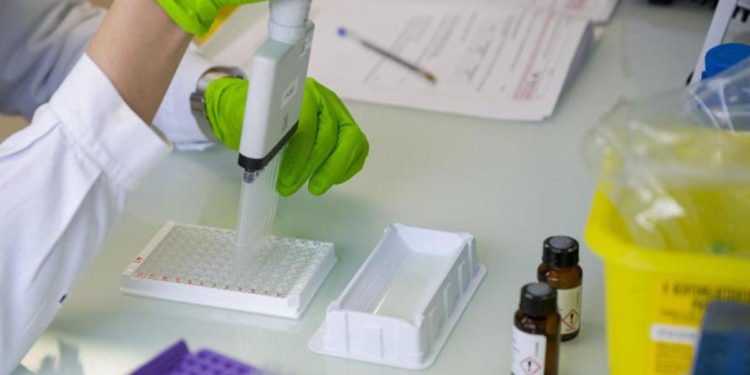 Nobel Medicina Semenza: “Perdere giovani ricercatori impoverisce Paese”