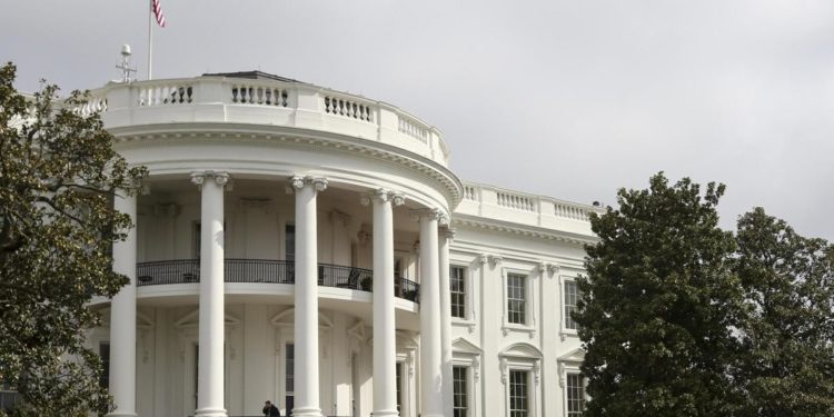 Crisi grano, Usa respingono appello Putin su revoca sanzioni