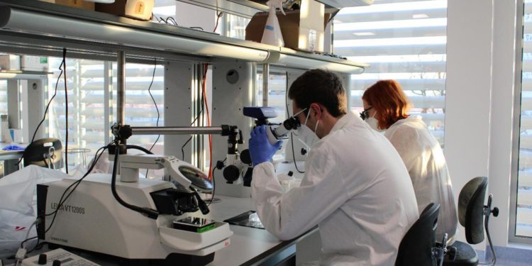 Ricerca, Simoni (Human Technopole): “Science economy una realtà, colmare gap Italia su brevetti”