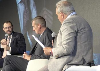 Pnrr, Patuanelli: “Difficile per le imprese programmare investimenti, effetto leva in discussione”