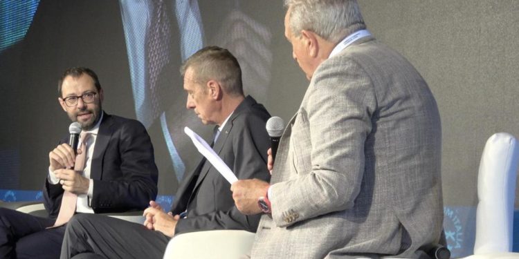 Pnrr, Patuanelli: “Difficile per le imprese programmare investimenti, effetto leva in discussione”
