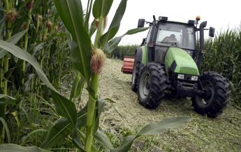 Agricoltura, da Ismea 6 mln a Kilometro Verde per stabilimento innovativo di vertical farming