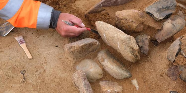 Lavoro, l’archeologo: “Io licenziato per aver detto in tv che ci pagano 6 euro l’ora”