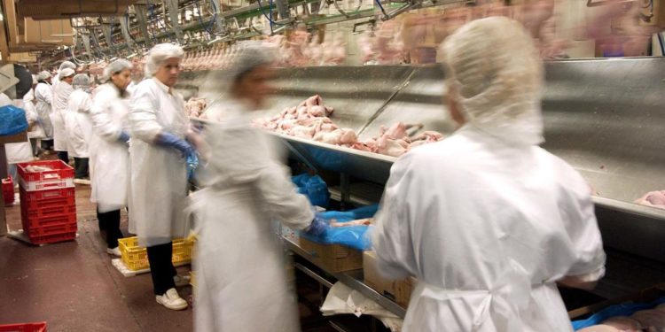 Zootecnia, Unaitalia: “Nel 2022 tempesta perfetta, preoccupano scorte cereali in Cina”