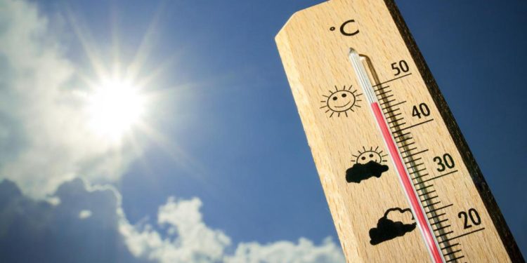 Caldo rovente, ecco il decalogo per salvare l’orto