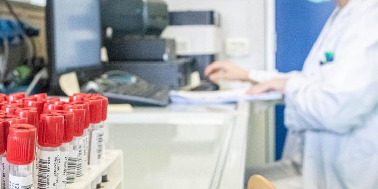 Vaiolo scimmie, virus nello sperma: la scoperta dello Spallanzani