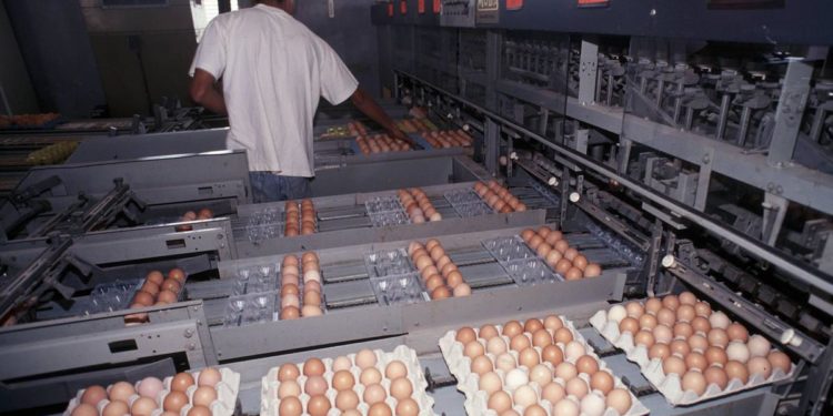 Dorfmann: “Lotta a speculazioni su carni bianche e uova, risorse a sostegno filiera”