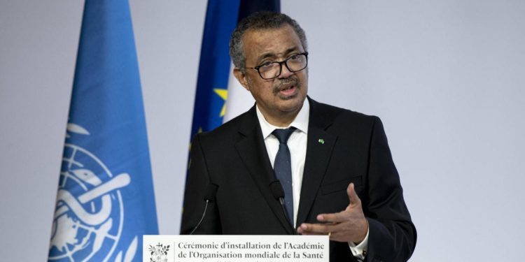 Vaiolo delle scimmie, allarme Oms: “Rischio che si affermi in Paesi non endemici”