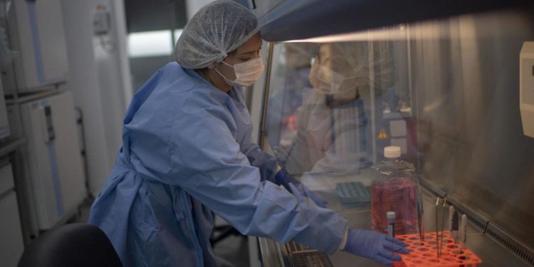 Vaiolo delle scimmie, Ecdc: 321 casi confermati in Ue e 14 in Italia