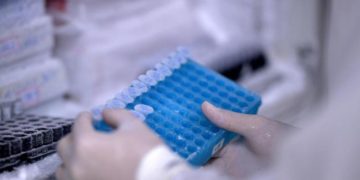 Vaiolo scimmie, “virus mutato in modo sorprendente”