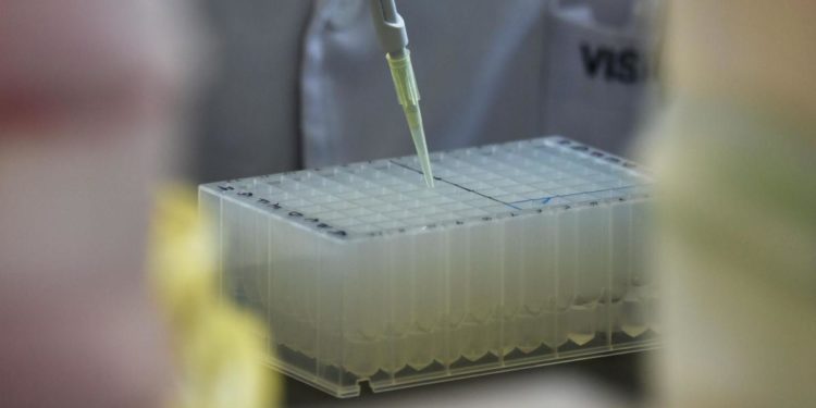 Vaiolo delle scimmie, “in Italia virus dell’Africa occidentale più lieve”