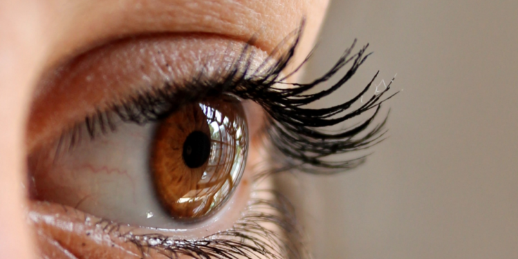 Lo studio, intelligenza artificiale per diagnosi retinopatia diabetica