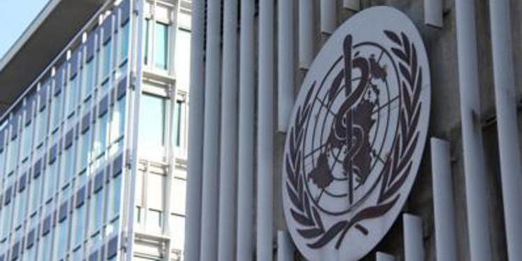 Vaiolo scimmie, Oms: “Epidemia Europa rischio reale”