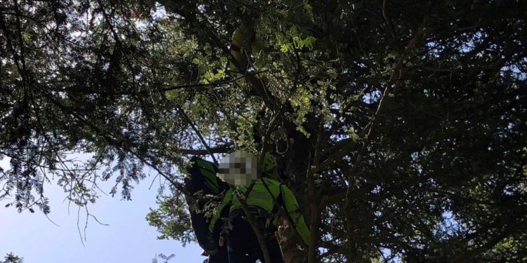 Col parapendio da Monte Calvanella ma precipita sugli alberi