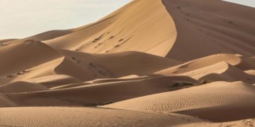 Libia, 20 migranti morti di sete nel deserto