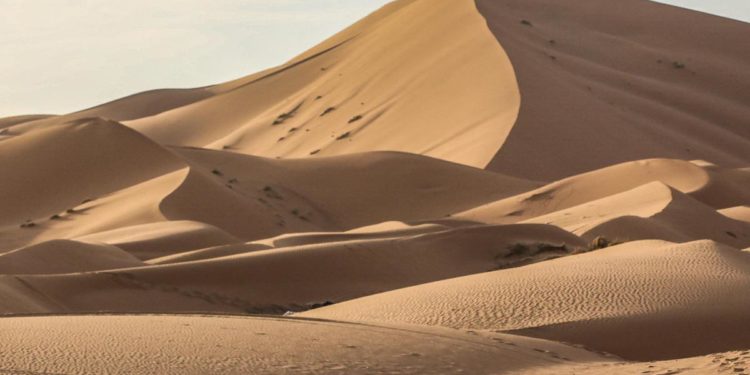 Libia, 20 migranti morti di sete nel deserto