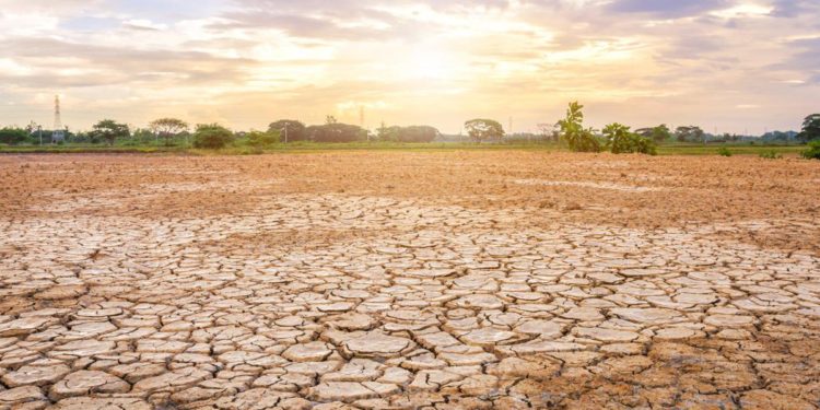 Siccità, in settimana riunione governo su emergenza