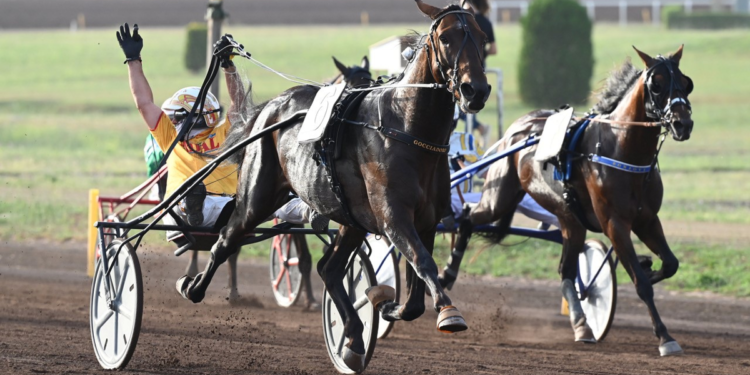 Ippica: trotto, domani a Capannelle triplo Gran Premio di fine stagione