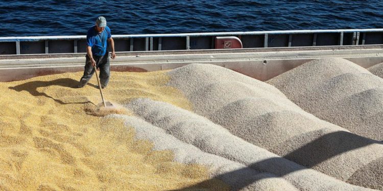Grano Ucraina, nessun accordo tra Turchia e Russia su export
