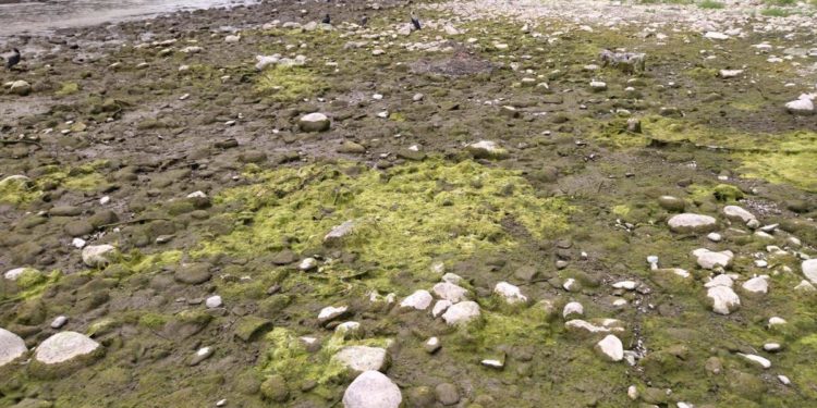 Siccità, il Piemonte ha ‘sete’