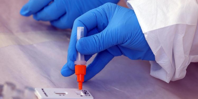 Covid oggi Sicilia, 8.178 contagi: bollettino 14 luglio