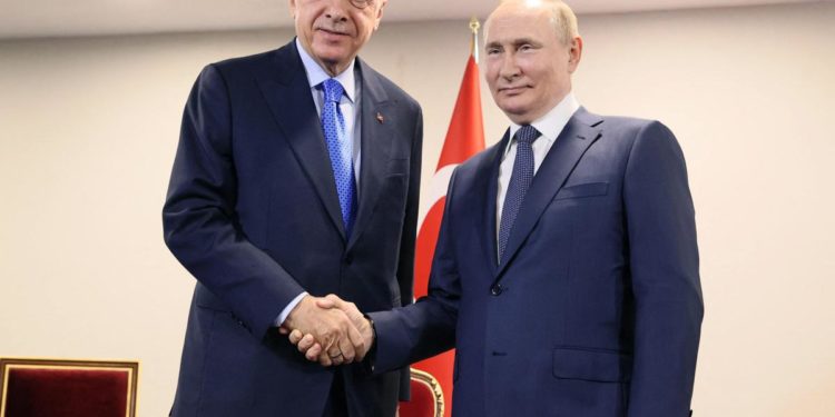 Ucraina, Erdogan vedrà Putin il 5 agosto a Sochi