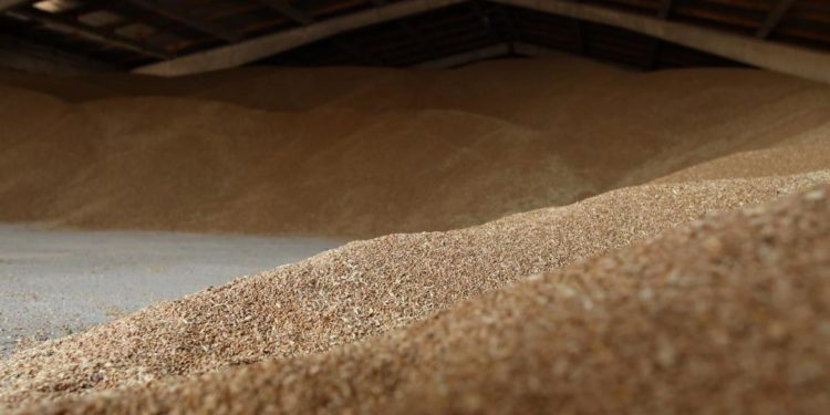 Grano Ucraina, Russia: “Da raid su Odessa nessun impatto su export”