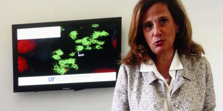 Vaiolo delle scimmie, Capua: “Diffusione inattesa e preoccupante”