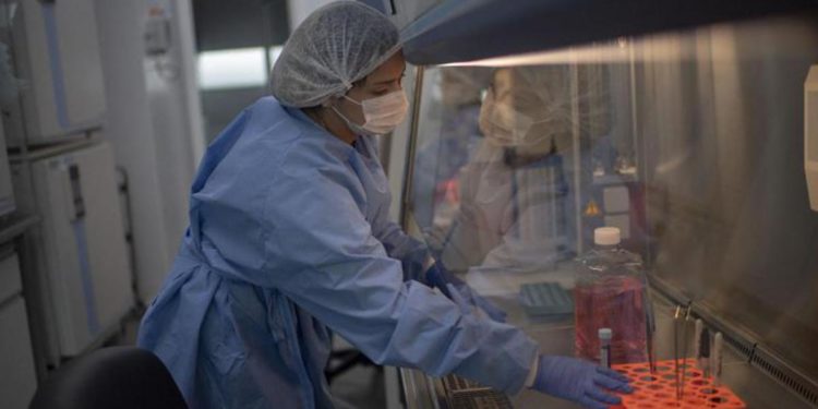 Vaiolo scimmie, Oms: “E’ emergenza sanitaria globale”