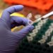 Covid, “il virus è diventato più buono”: studio del presidente dei virologi