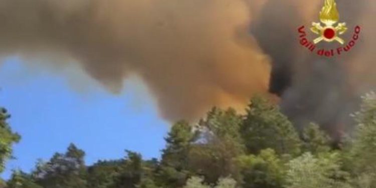 Incendio a Massarosa in Versilia, vento rinforza fiamme: evacuate altre famiglie
