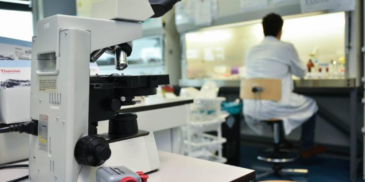 Mur, strategia italiana per spesa allo 0,7% del Pil dopo Pnrr