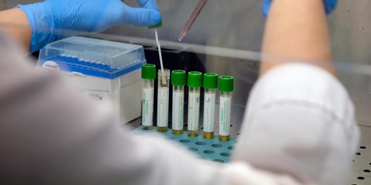 Covid oggi Emilia, 4.432 nuovi casi e un decesso: bollettino 24 luglio